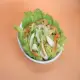 Fresh Garden Salad